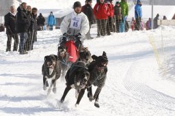 Lenk 2012 SM